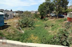 Comienzan las lluvias y los drenes azolvados