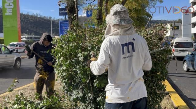 Realiza Gobierno Municipal acciones de mantenimiento y limpieza en Periférico Paseo de la República