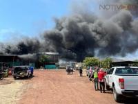 Arde empaque de mangos en Gabriel Zamora