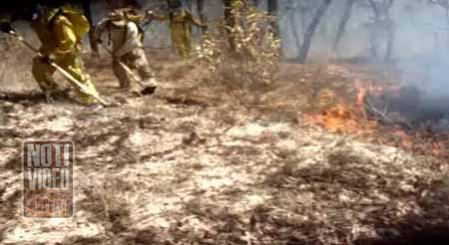 500 incendios forestales en lo que va del año 