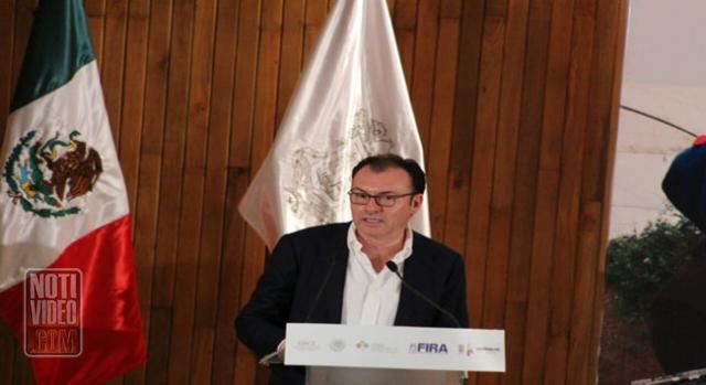 Jugársela con los pequeños productores es una apuesta : Videgaray.