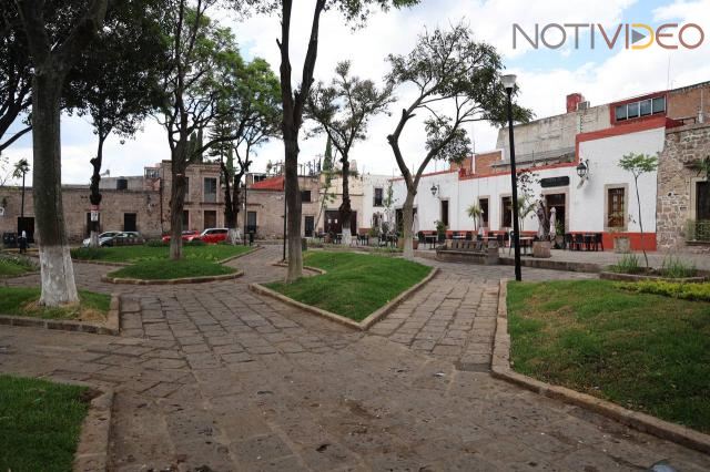 Jardín de la Soterraña, más verde y vivo que nunca