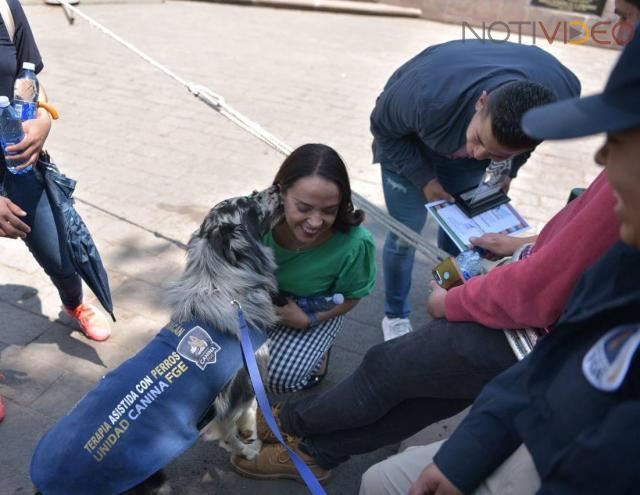 Propone Andrea Villanueva la Creación del Centro Animal Forense