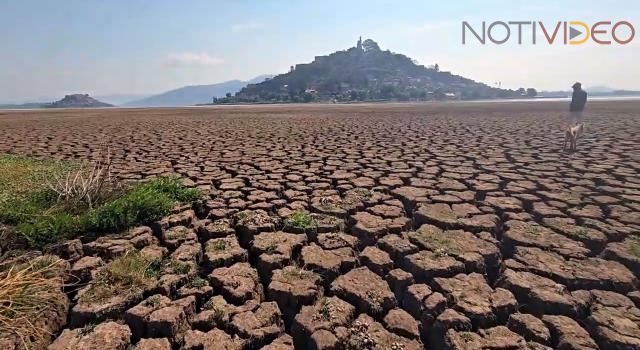 Intentan salvar al lago de Pátzcuaro al plantar 1.5 millones de árboles