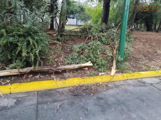 Gobierno Municipal, alerta por lluvias en Morelia; reporta afectaciones menores