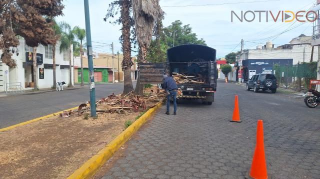 Realizan jornada de limpieza integral en la colonia Cosmos