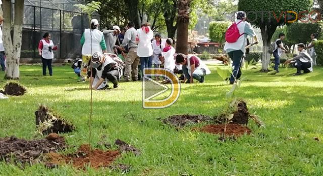 Reforestan el Zoológico de Morelia