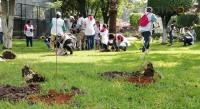 Reforestan el Zoológico de Morelia