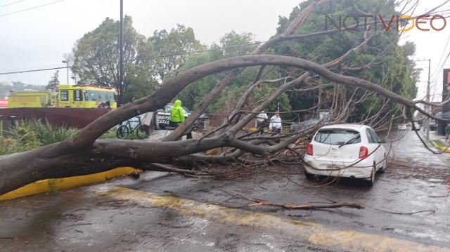 Atiende Ayuntamiento contingencias por lluvias