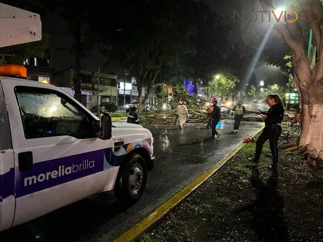 Saldo blanco tras fuertes ráfagas de viento del martes