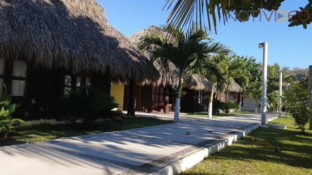 Tortugas, paisajes y otros atractivos, este verano en las Playas de Michoacán