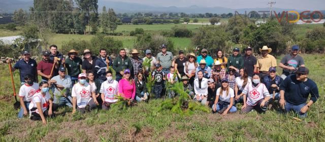 Encabeza Alfonso Martínez reforestación y crea un nuevo bosque en Morelia