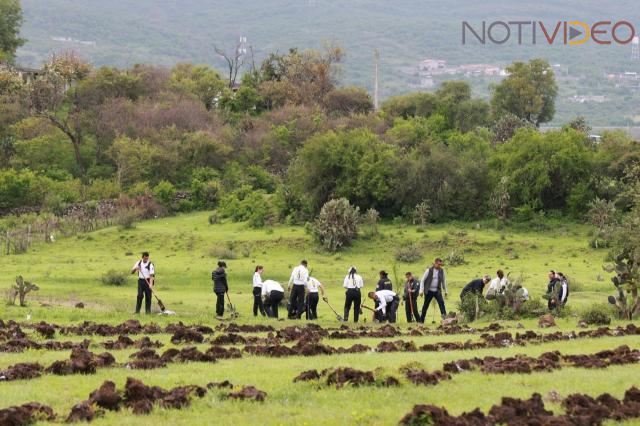 95% de árboles plantados logra sobrevivir: Alfonso Martínez