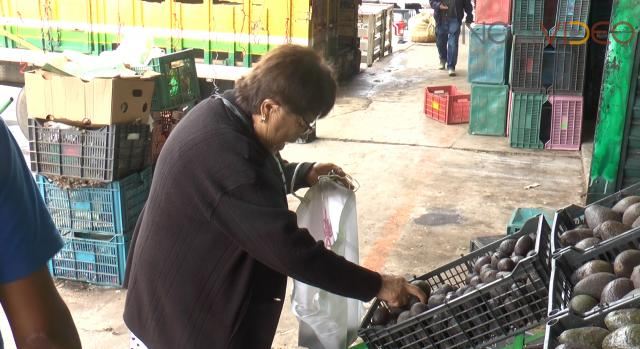 Impuestos del Crimen Encarecen el Aguacate en el Mercado Nacional