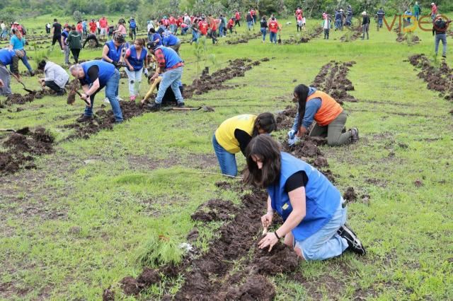 Gobierno Morelia, cerca de plantar 1 millón de árboles