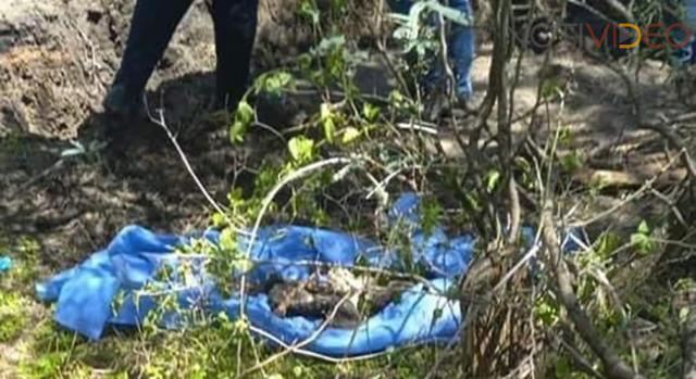 Descubren una fosa clandestina con 11 cuerpos en los límites de Uruapan y Ziracuaretiro