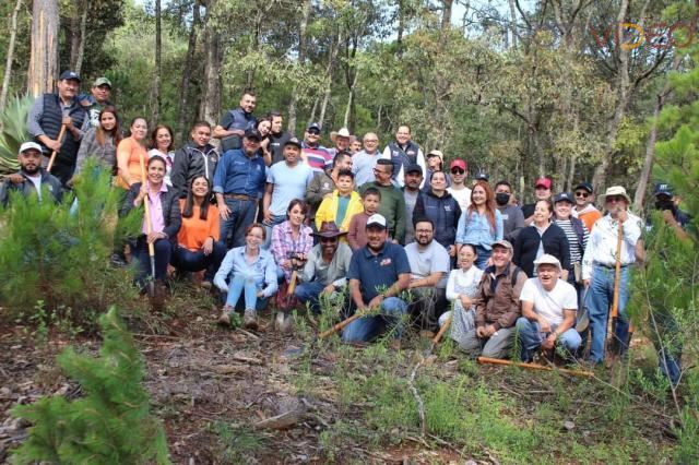 Gobierno Municipal recupera bosque que sufrió deforestación en San Miguel del Monte