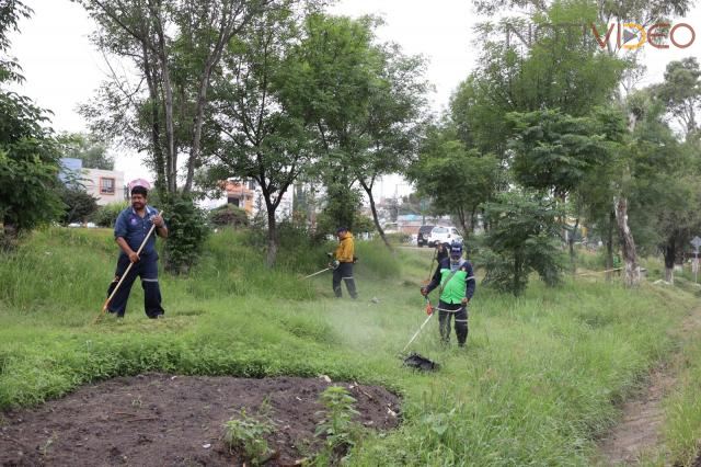 Gobierno de Morelia embellece camellones de la salida a Charo