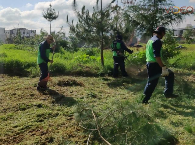 Gobierno Municipal y ciudadanos, unidos en jornada de limpieza en Col. Los Vergeles