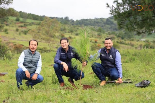 Morelia se acerca a la meta de plantar más de un millón de árboles