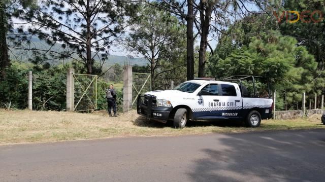 Un perro desentierra un cadáver en una  fosa clandestina en Ziracuaretiro 