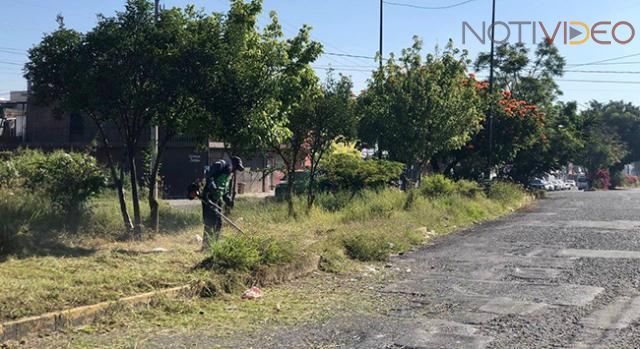 Jornada integral de limpieza y bacheo, llega a las avenidas Poliducto y Quinceo