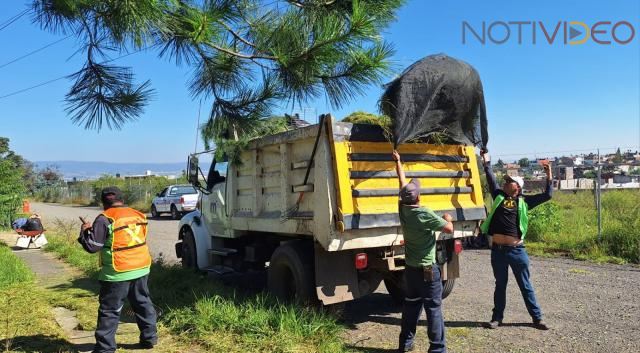 Ayuntamiento de Morelia y vecinos, participan en jornada integral en Bonanza