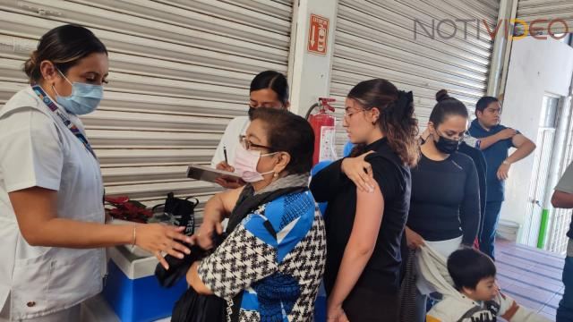 Gobierno de Morelia concluye con éxito jornada de vacunación contra la influenza en mercados y plaza