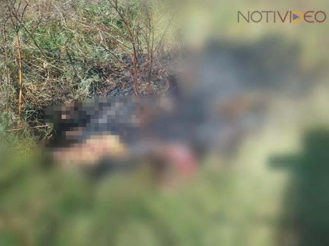 Localizan un cuerpo calcinado en un predio en Pátzcuaro 